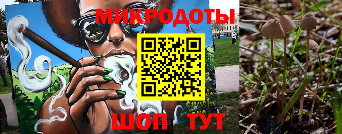 Галлюциногенные грибы Magic Shrooms Губкин